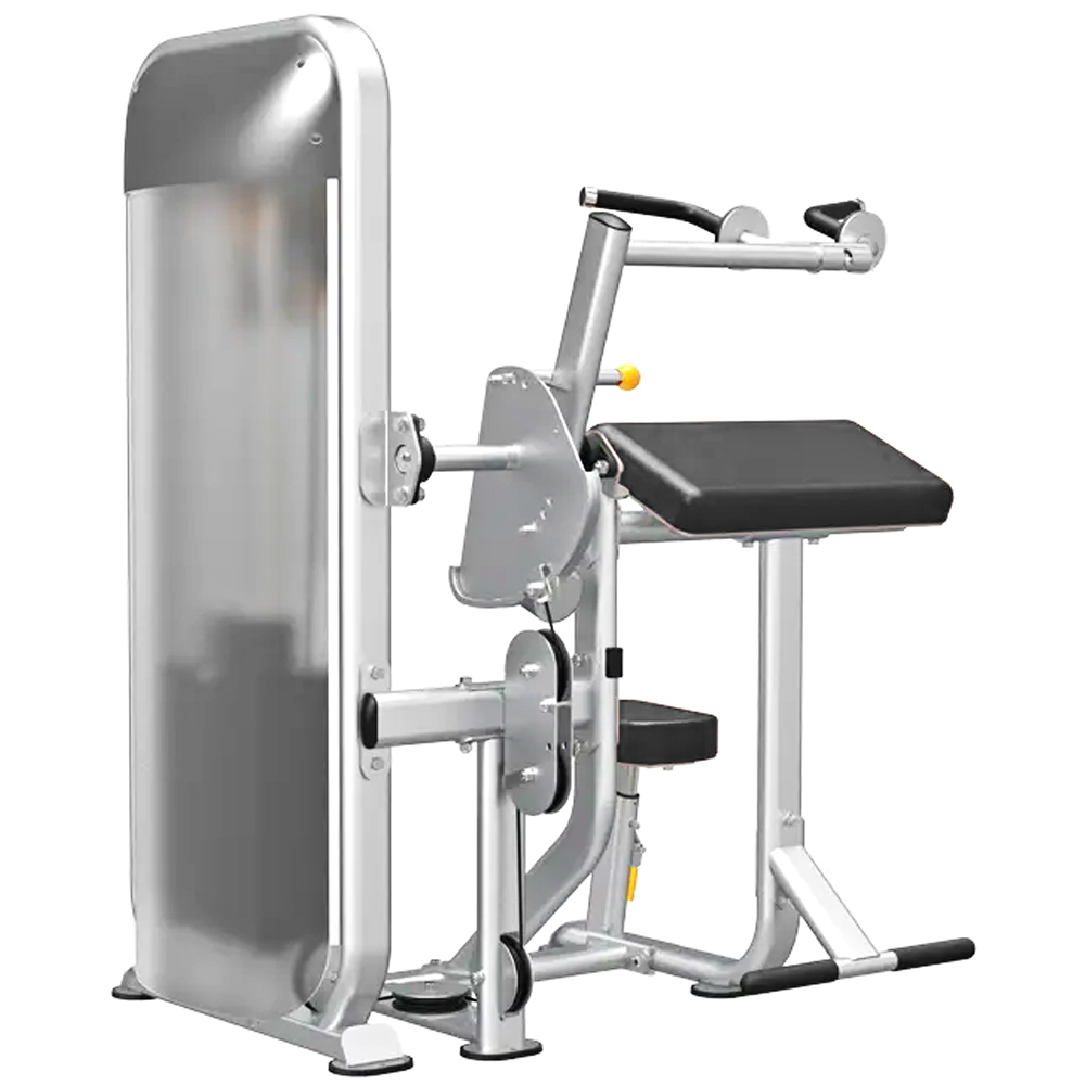 WILD FIT（ワイルドフィット） バイセプストライセプス (250ポンド