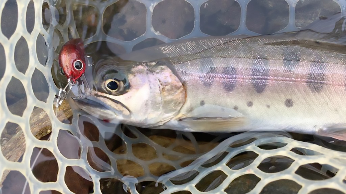 オルルド釣具 マイクロクランク ルアー 10個セット 3cm 1.5g 管釣り