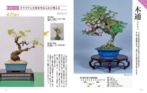 本：盆栽はじめてみませんか？ 本：小林國雄のイチから教える盆栽