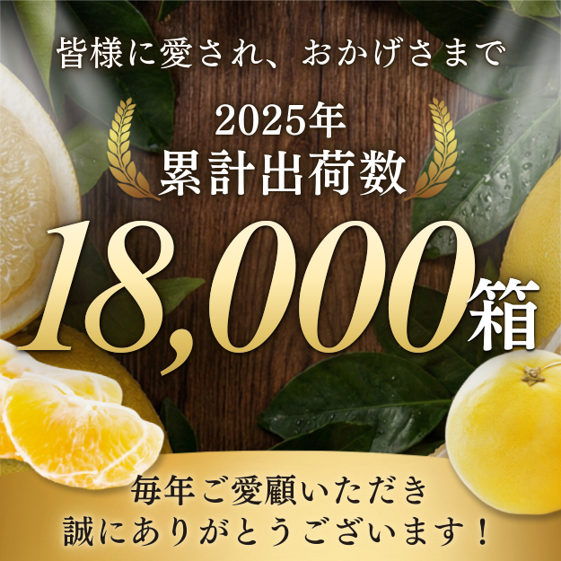 訳あり 文旦 大玉限定 土佐文旦 4L 3L 混合 10kg 高知県産 ぶんたん