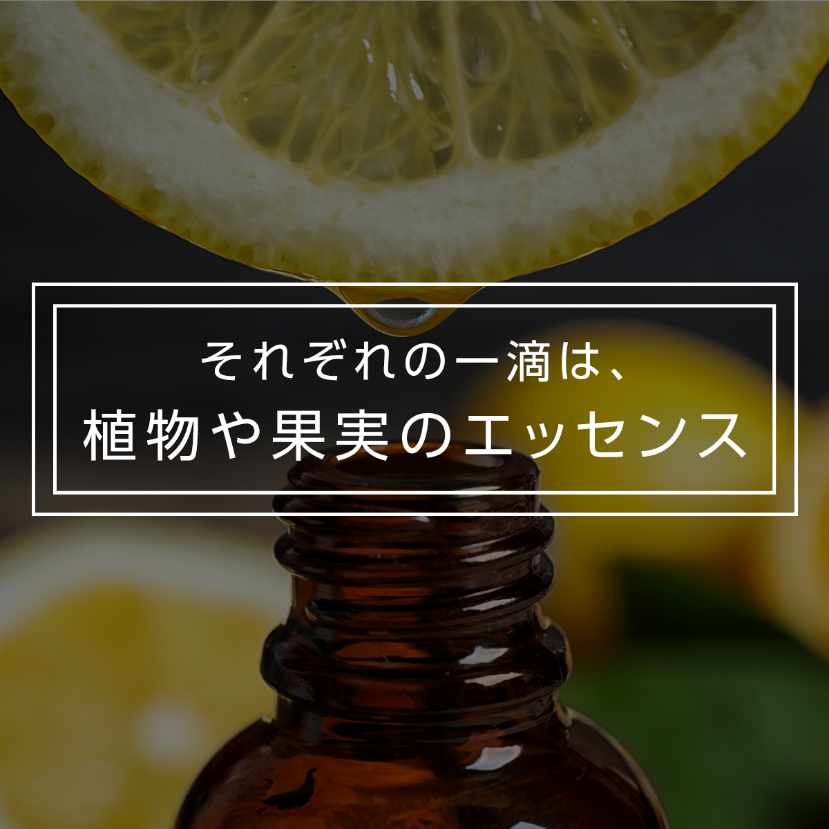 100％ エッセンシャルオイル TOKAIZ トカイズ : 万通オンライン - 通販