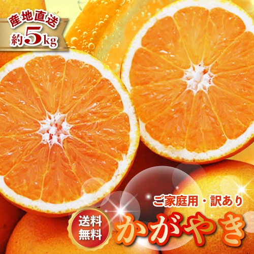 津之輝」の人気商品一覧 | 安い商品を通販サイトから探す - 価格.com