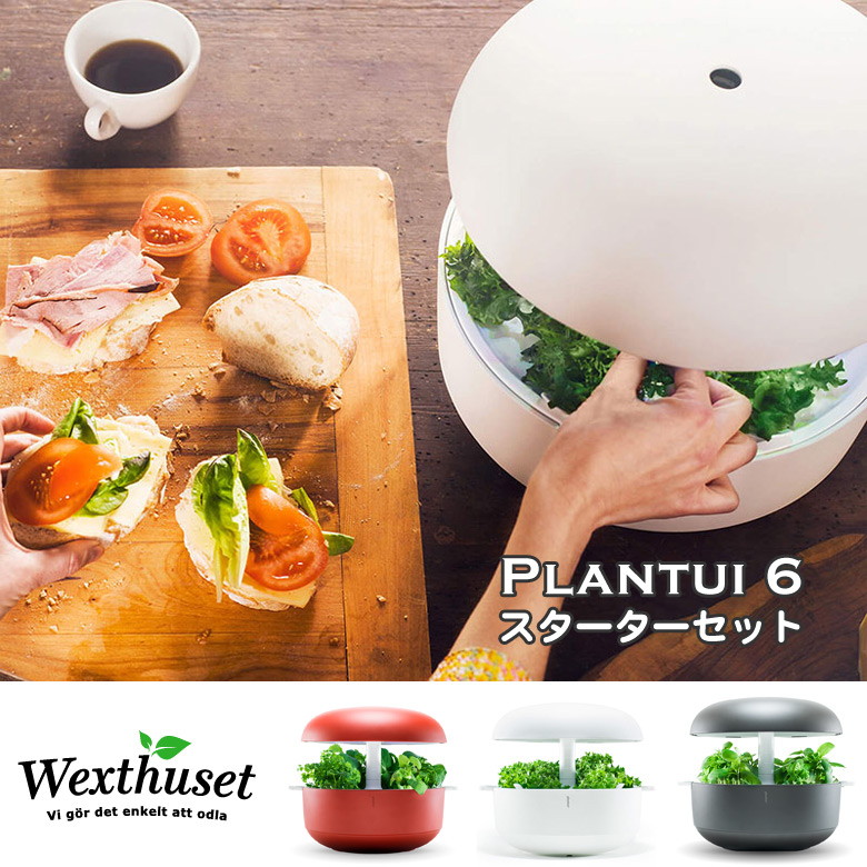 自動水循環システム搭載 水耕栽培キット Plantui 6 スターターセット
