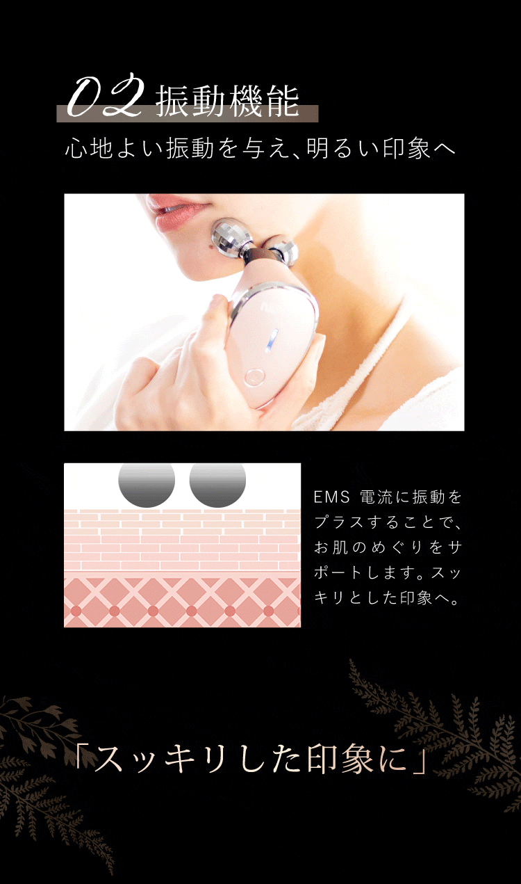 NIPLUX EMS美顔ローラー NIPLUX BEAUTY QRELLE 美顔器 毛穴ケア 美容