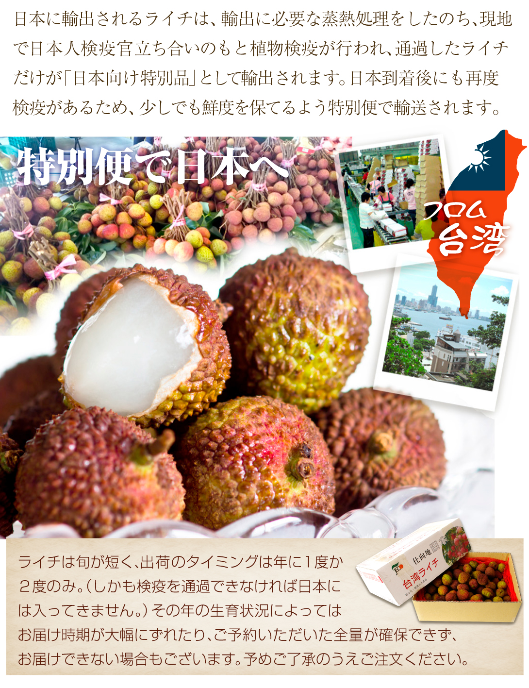 国華園オンラインショップ / ライチ 1kg 生ライチ 玉荷包 台湾産 ぎょ