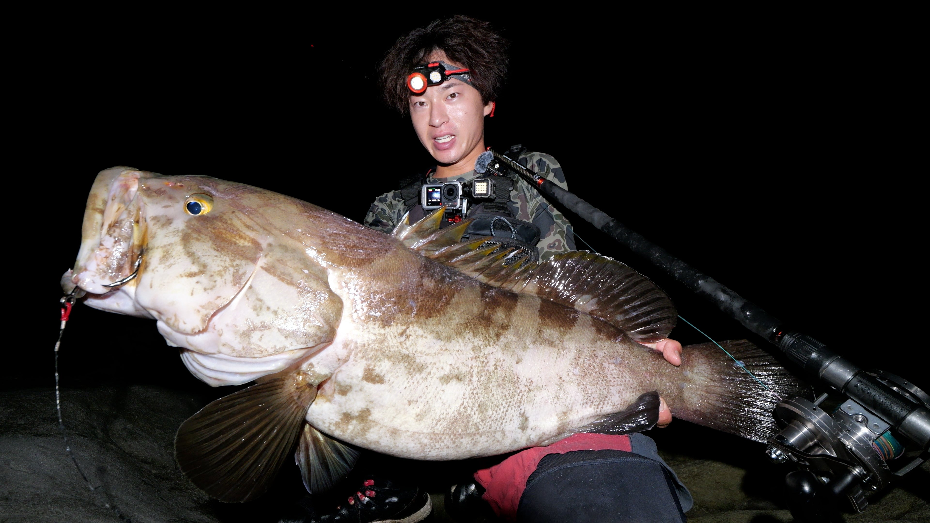 WILD SEEKER 453HH (ワイルドシーカー453HH)