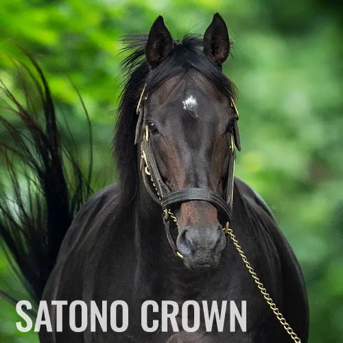 社台スタリオンステーション