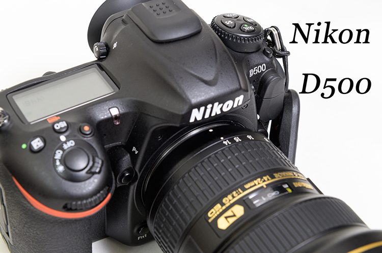 Nikon D500 | Shades Of Heart