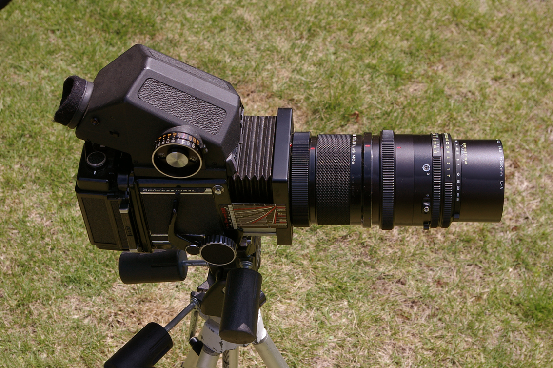 トピック関連記事