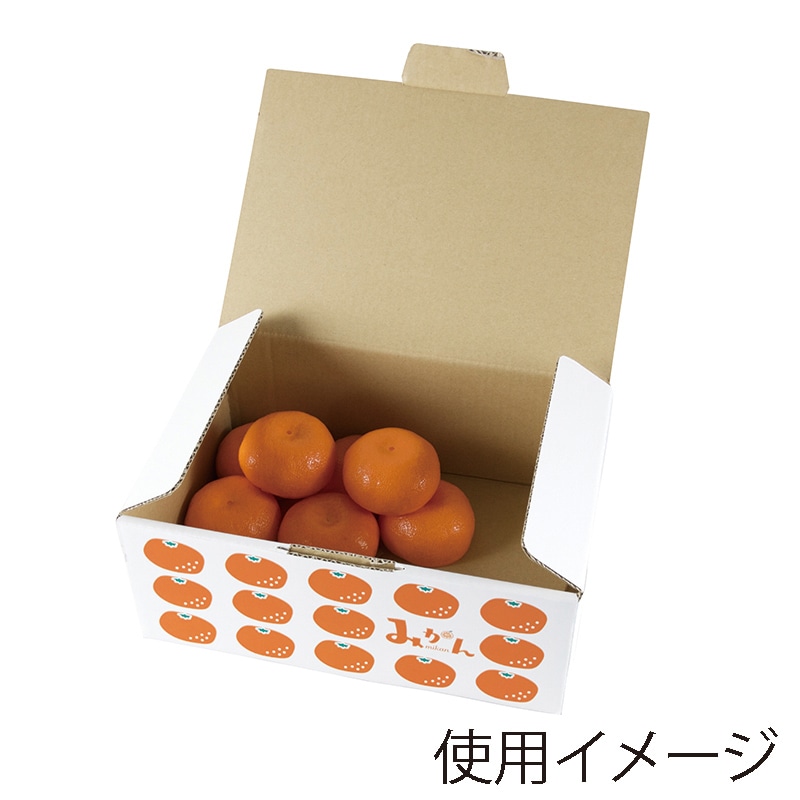 ヤマニパッケージ ギフト箱 イラストみかん 3kg L-2442 10枚/束（ご