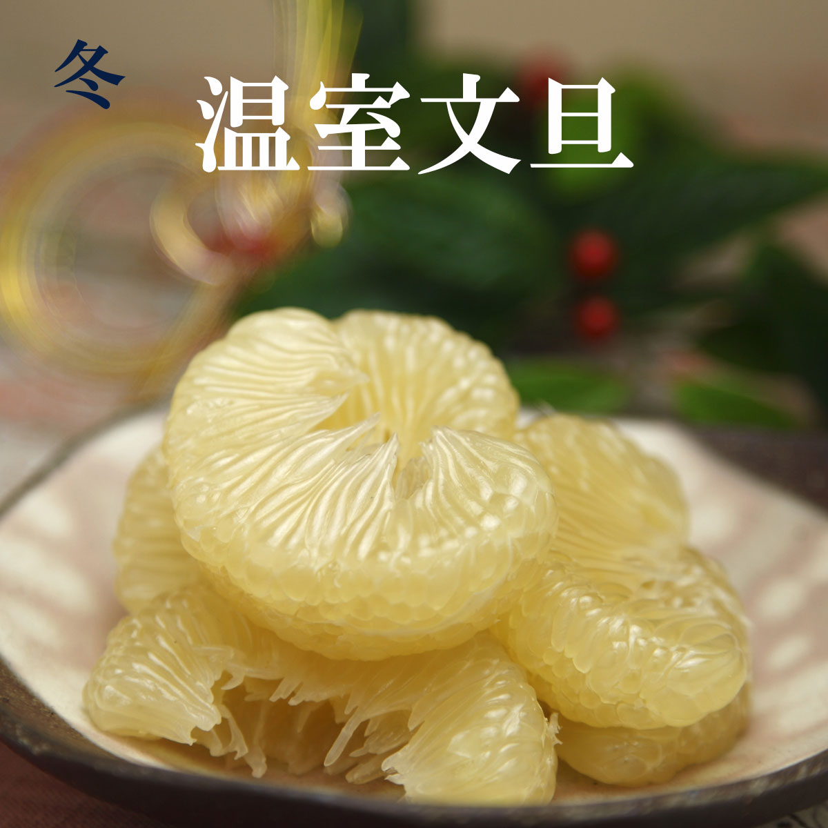 文旦四季の定期便（頒布会）【年間一括払い】【送料込】 | 白木果樹園