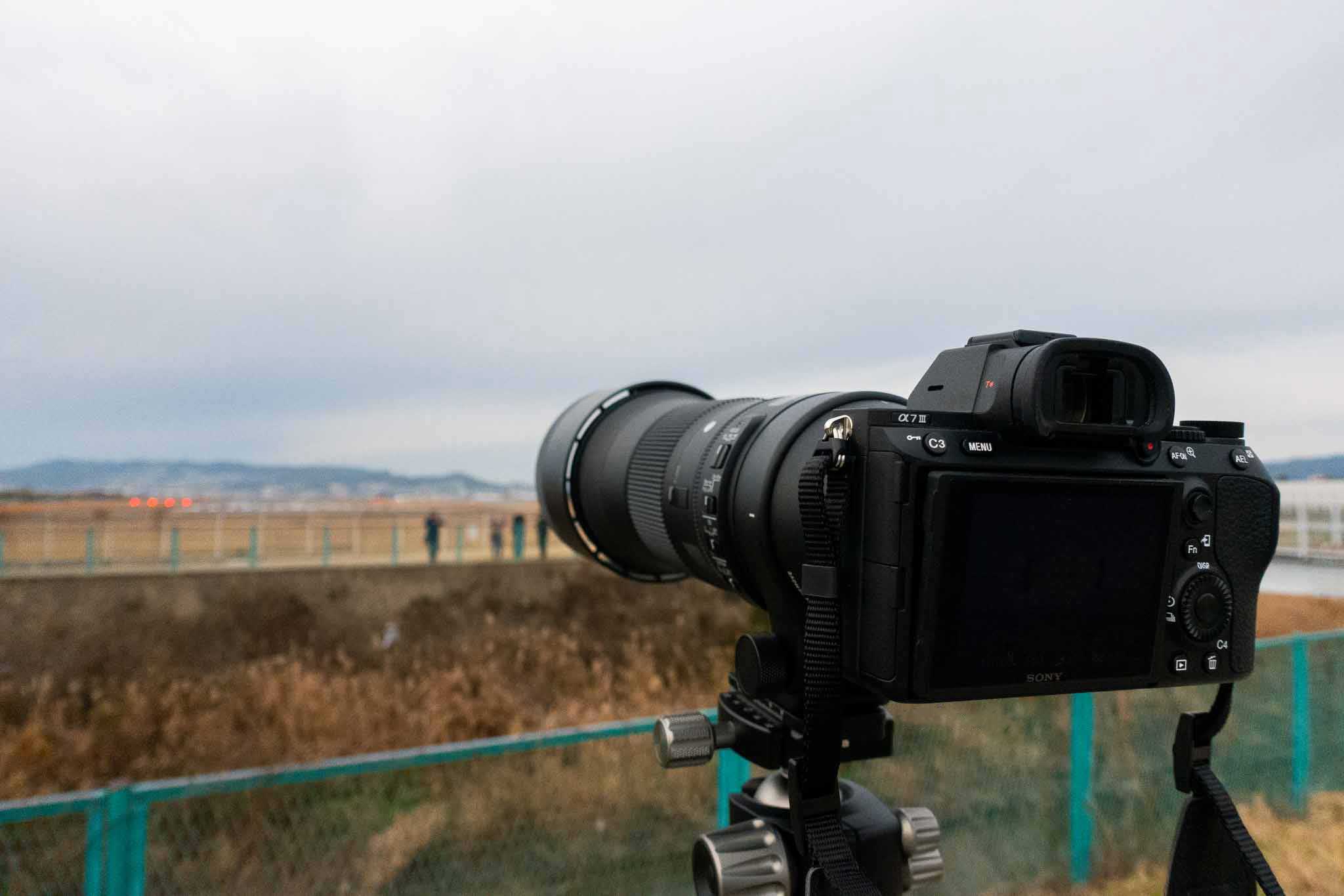 α7Ⅲと一緒に買った超望遠レンズ「SIGMA 150-600mm F5-6.3 DG OS HSM