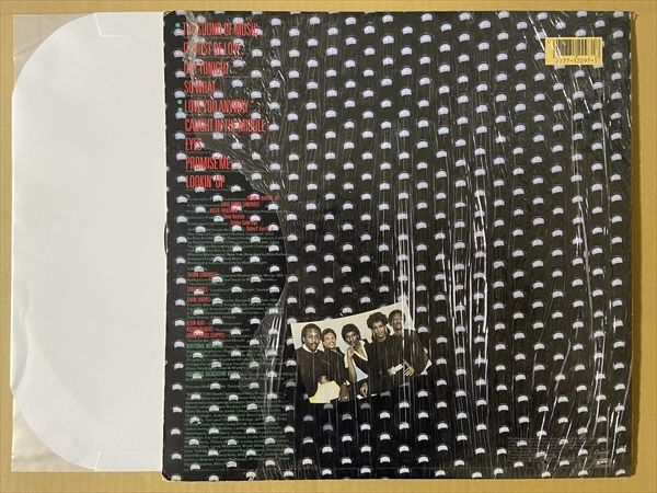 Dayton – Feel The Music – s25879 – シエスタレコード