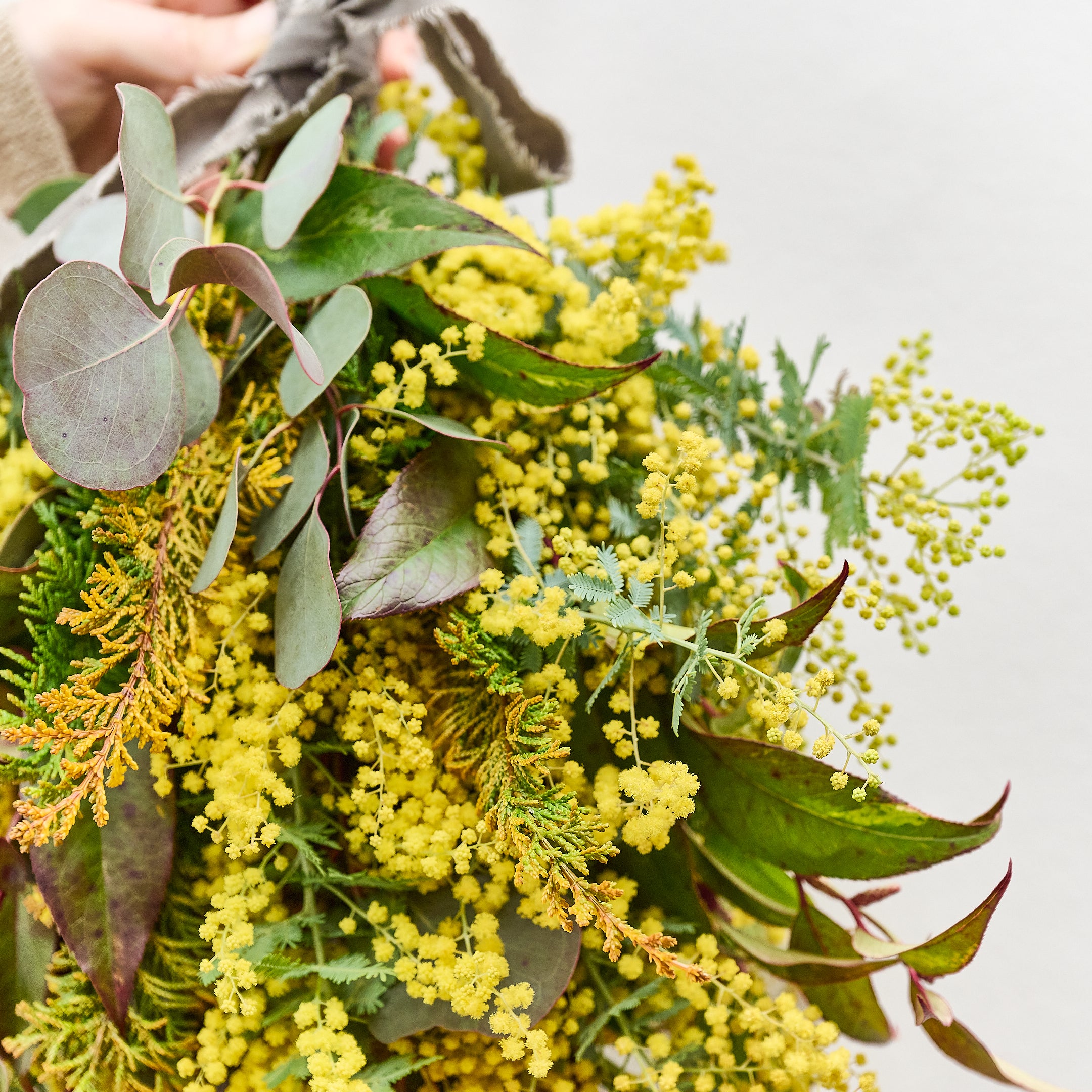 受注販売】早春の枝ものでつくったミモザスワッグ（生花）