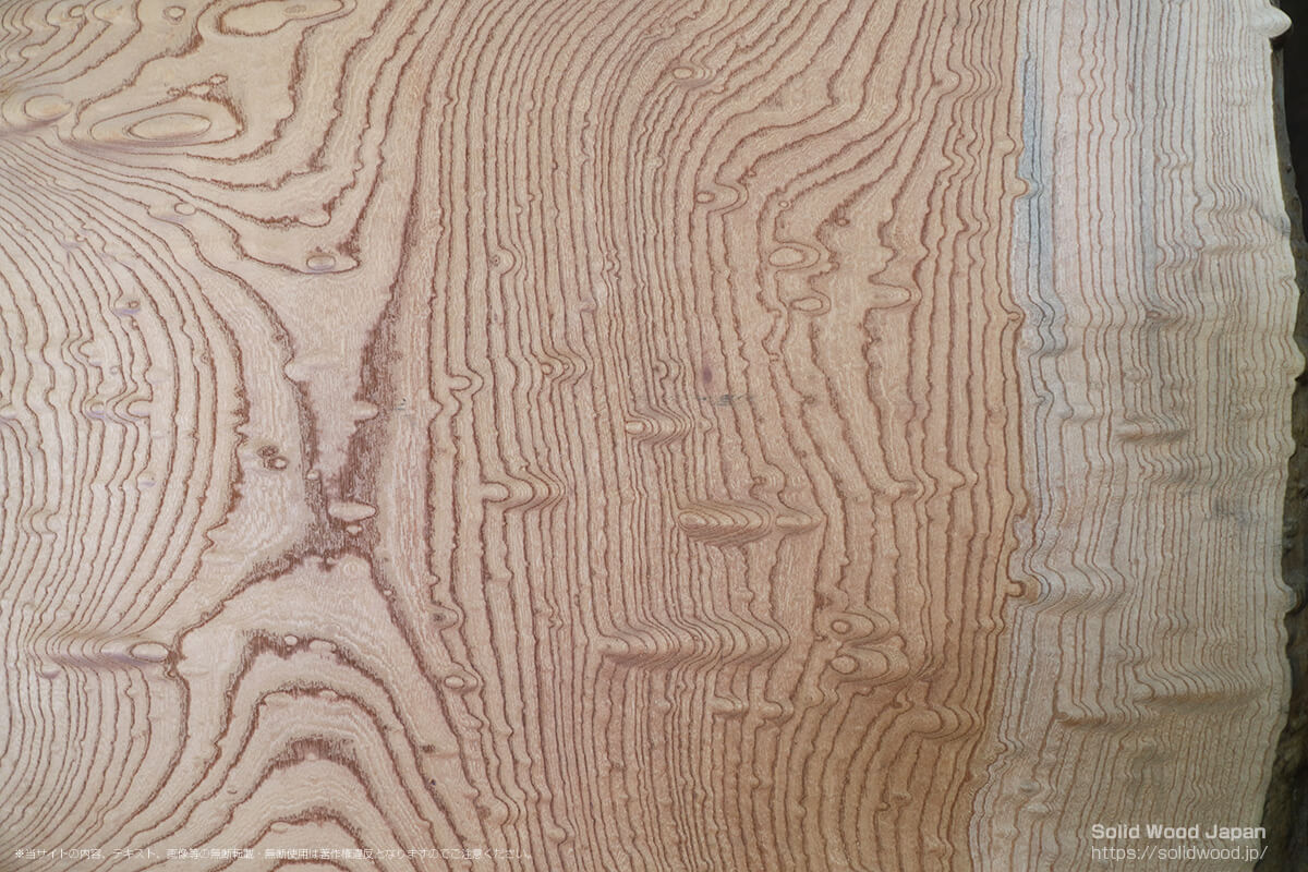 ケヤキタマモク（欅玉杢）の一枚板 | 無垢材とは | 一枚板比較