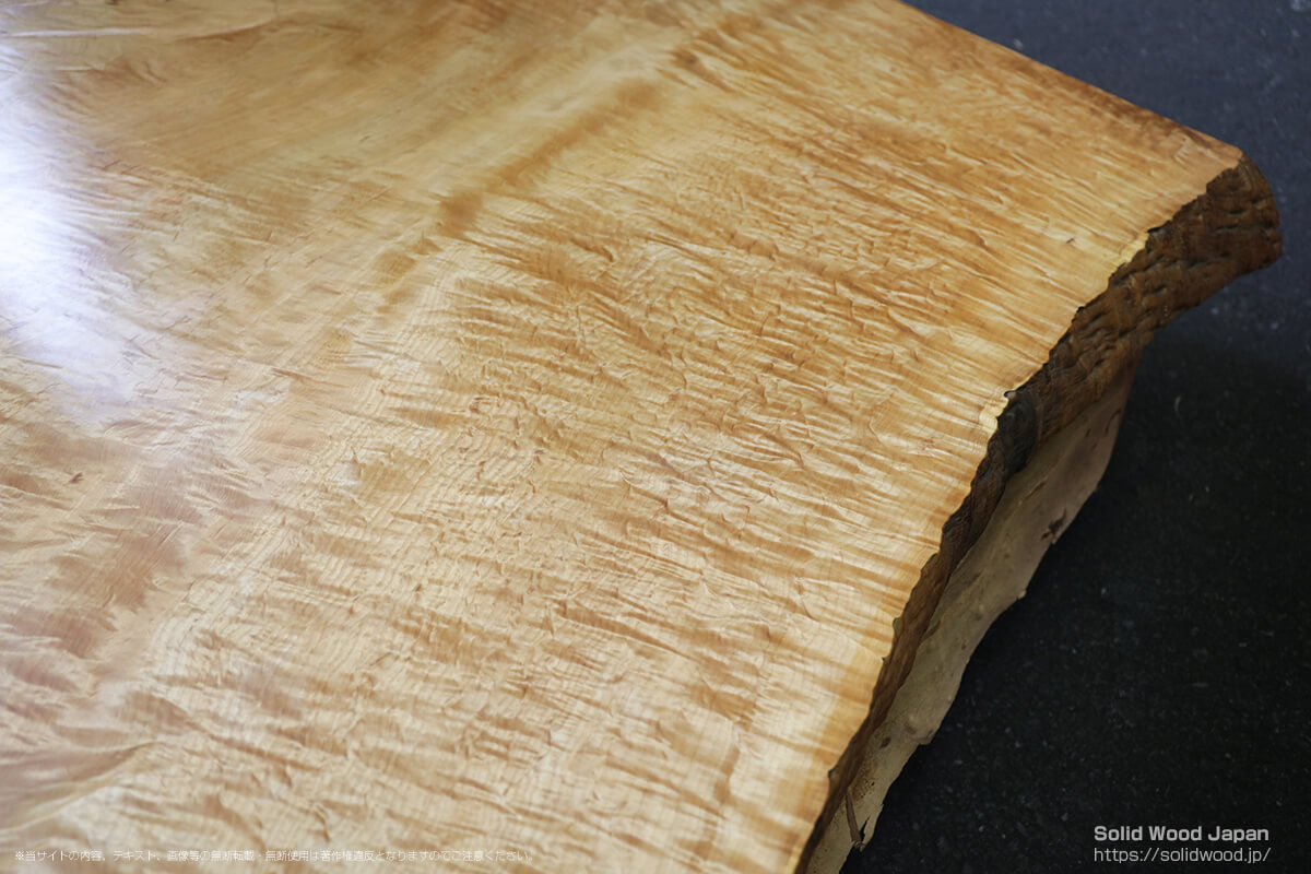 トチ（栃）の一枚板 | 無垢材とは | 一枚板比較