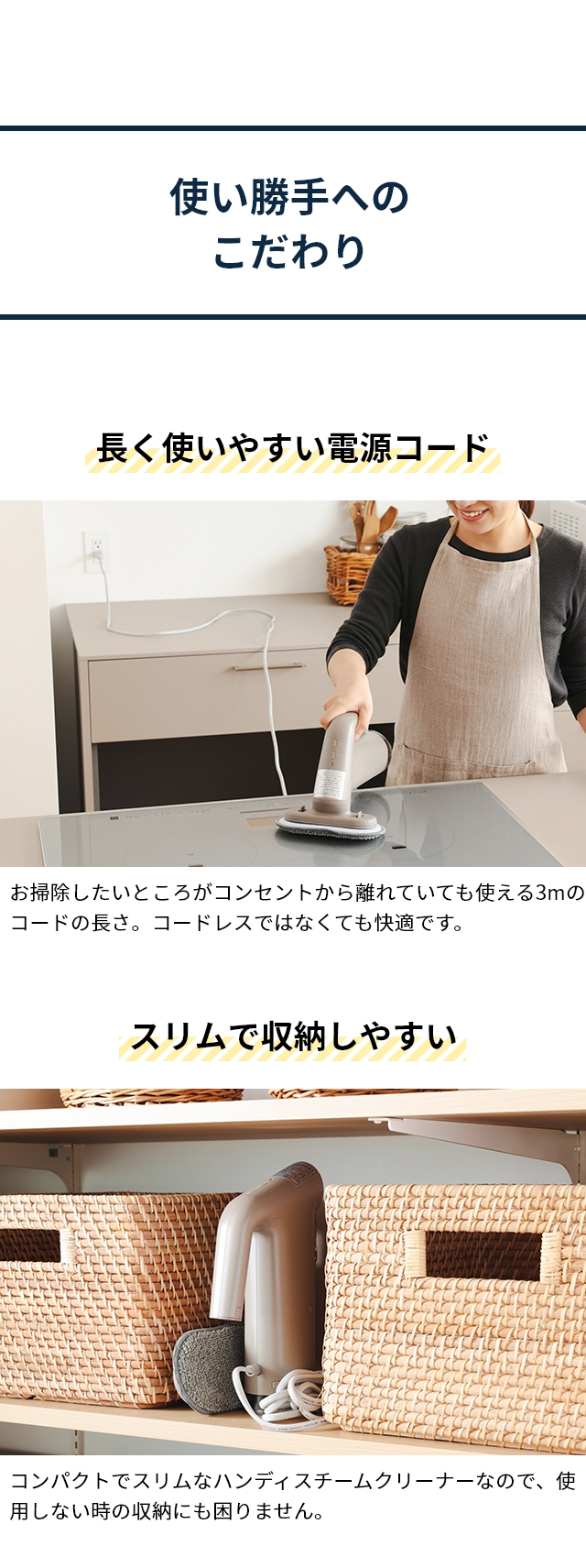 選べる豪華特典】 スチームクリーナー プラスマイナスゼロ XJN-K010