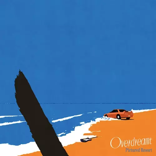 PICTURED RESORT商品一覧｜ディスクユニオン・オンラインショップ