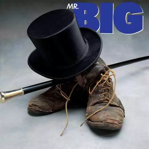 THE VAULT 25周年記念オフィシャル・アーカイヴ・ボックス /MR. BIG