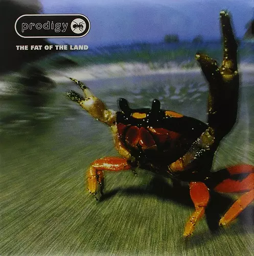 THE FAT OF THE LAND (2LP)/PRODIGY/プロディジー｜ROCK / POPS