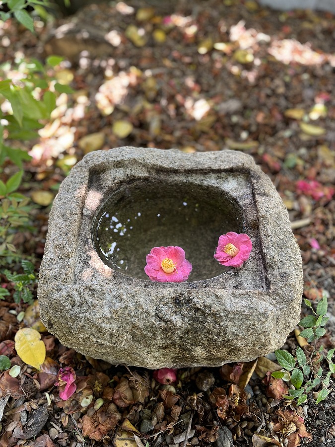 徳千代冬輝作「水鉢（岡山県産北木石〈サビ〉製）」 | ストーンサークル
