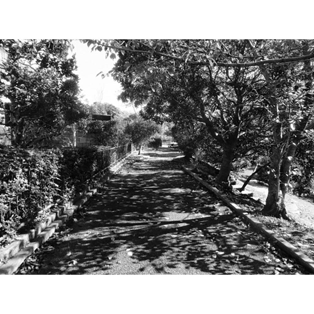 サイン入り】記録62号 森山大道 写真集 -の商品詳細 | 蔦屋書店