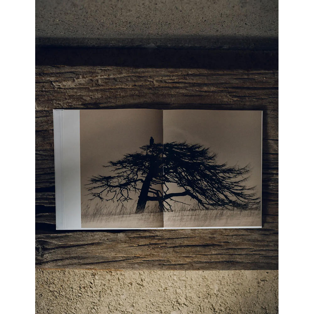 初版1000部限定】Yamamoto Masao 山本昌男 写真集 山本昌男 -の商品