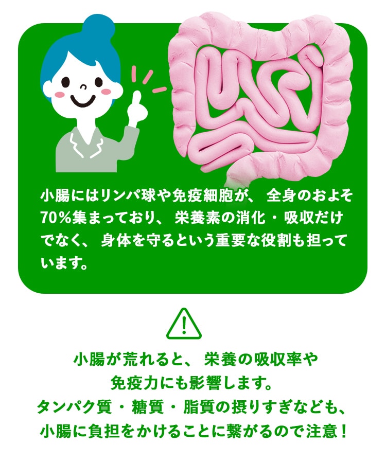 定期購入キャンペーン】LAVA BRM1.3［3箱コース：40％OFF］(50包／箱