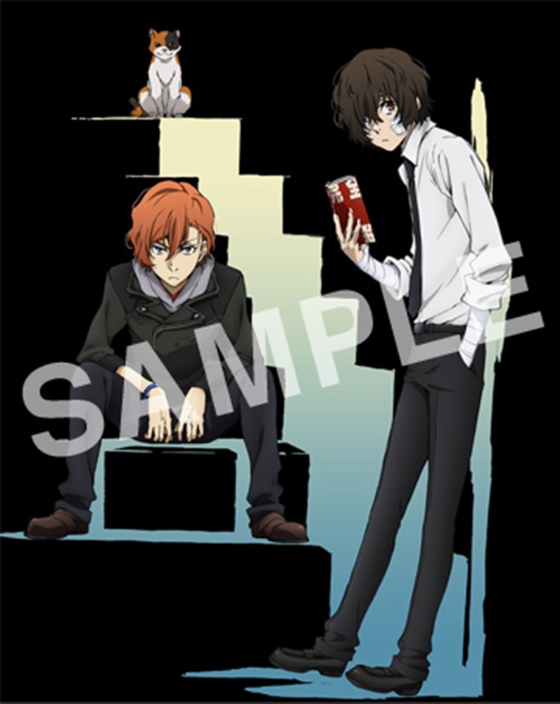 文豪ストレイドッグス」第13巻Blu-ray(第13巻 Blu-ray): BD・DVD・CD