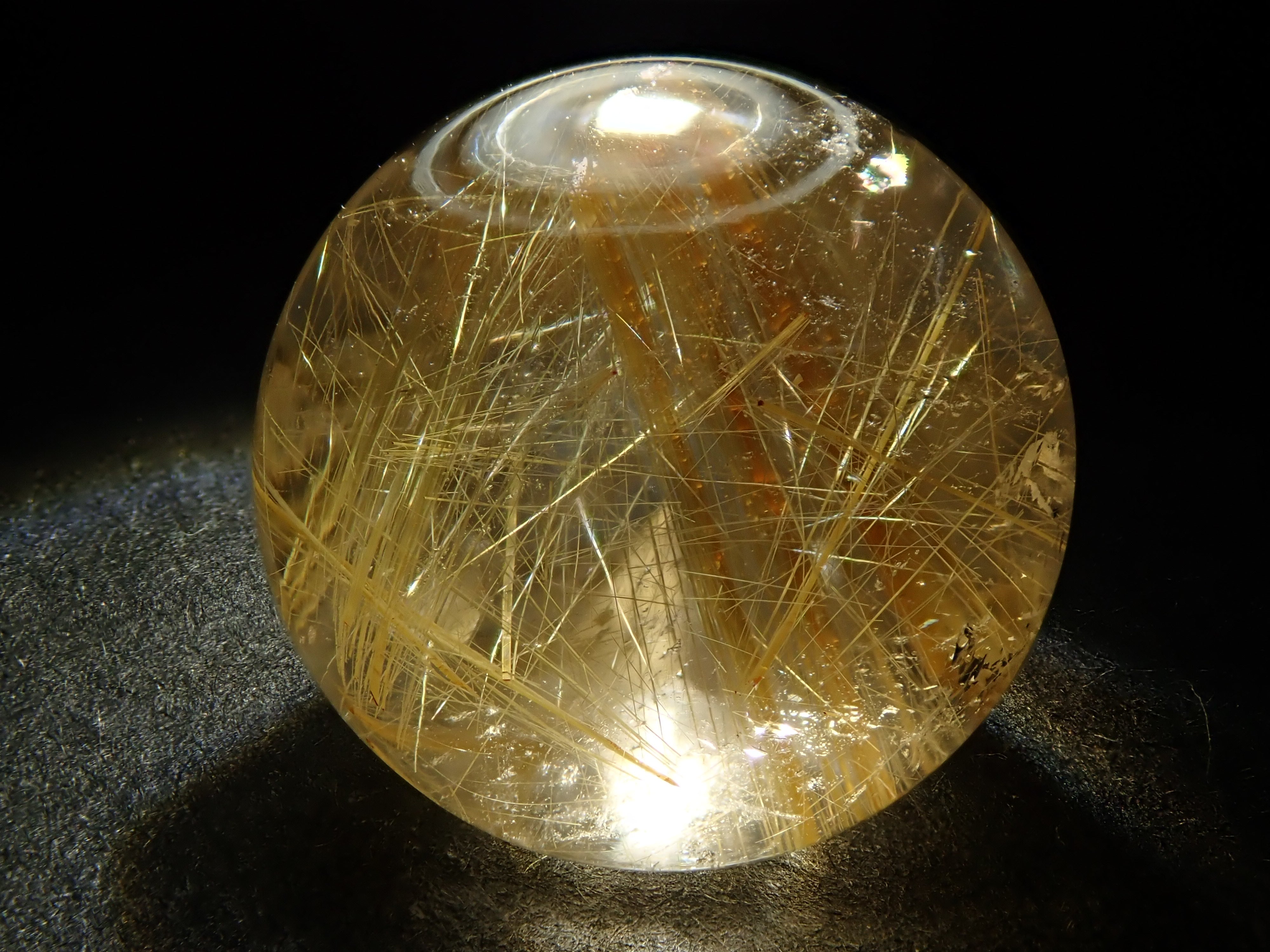 PB082423.jpg?crop=center&