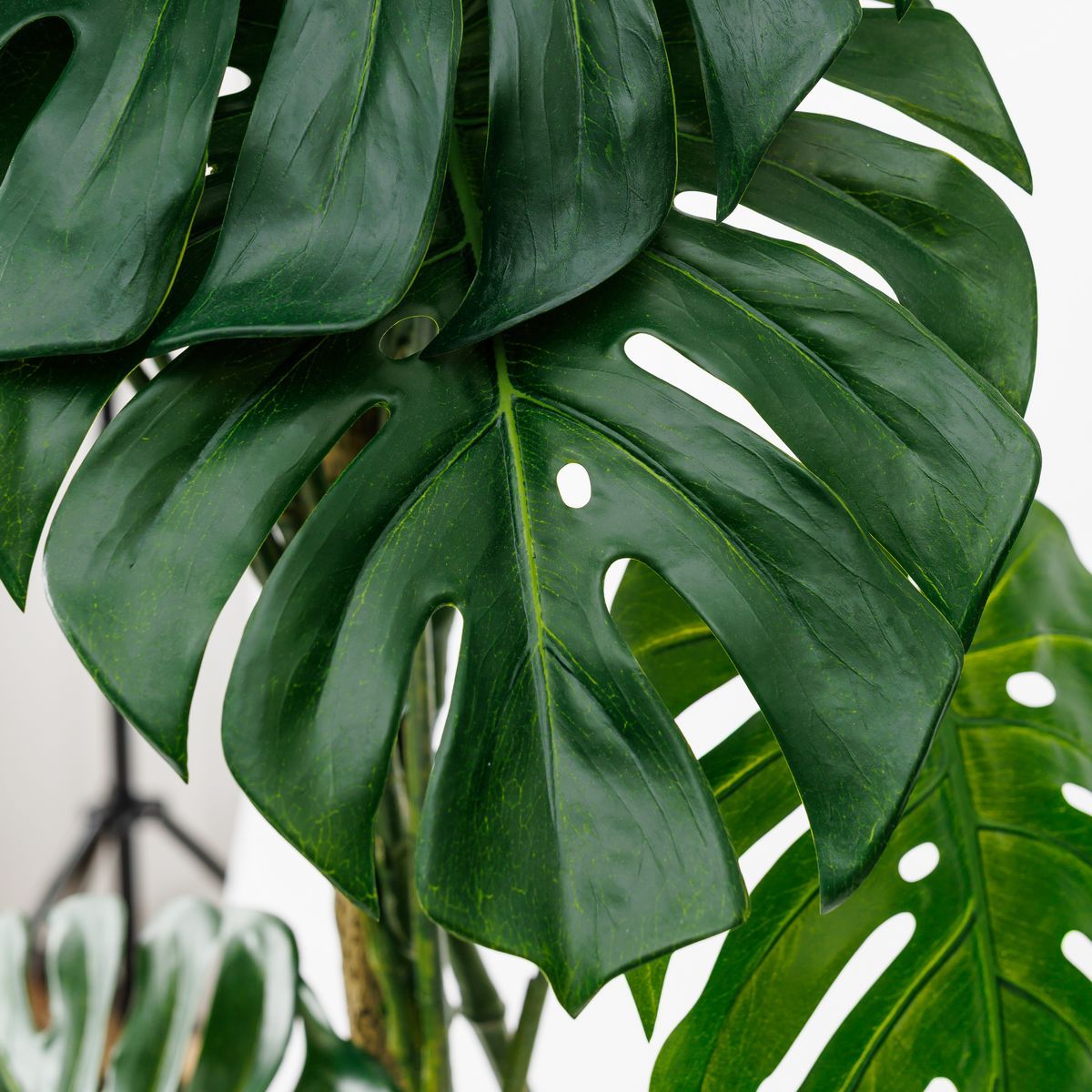 直送】【人工観葉植物】アスカ/モンステラポット グリ-ン/A-50813-051A