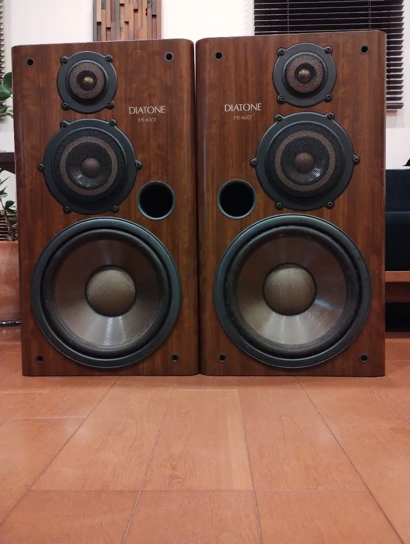 2026年最新】DS-700 DIATONEの人気アイテム - メルカリ