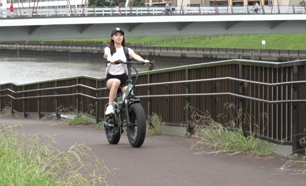 極太タイヤで超パワフル】7段ギア120km走行可。折りたたみ電動アシスト
