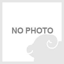 音楽劇「お嬢さんお手上げだ・明治編」 | 演劇・ミュージカル等の