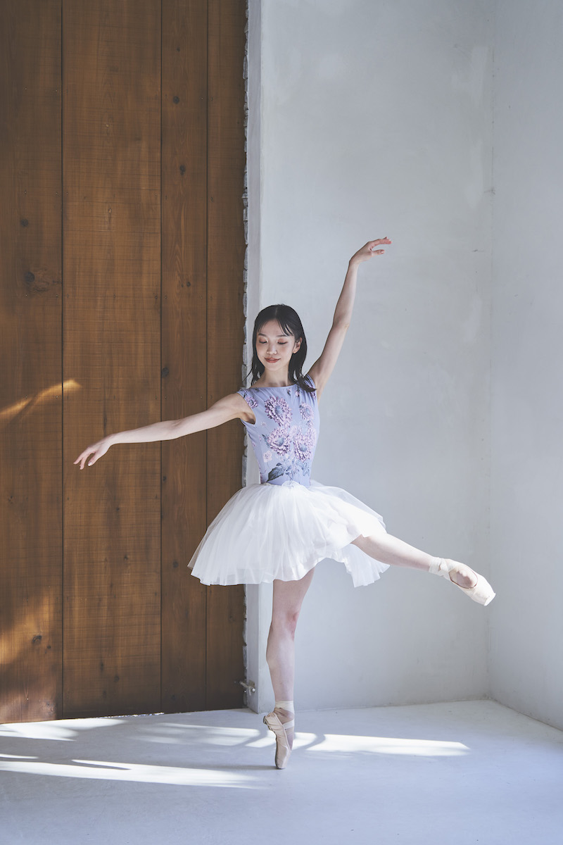 stina / type K boat neck / Dahlia imperialis silver gray