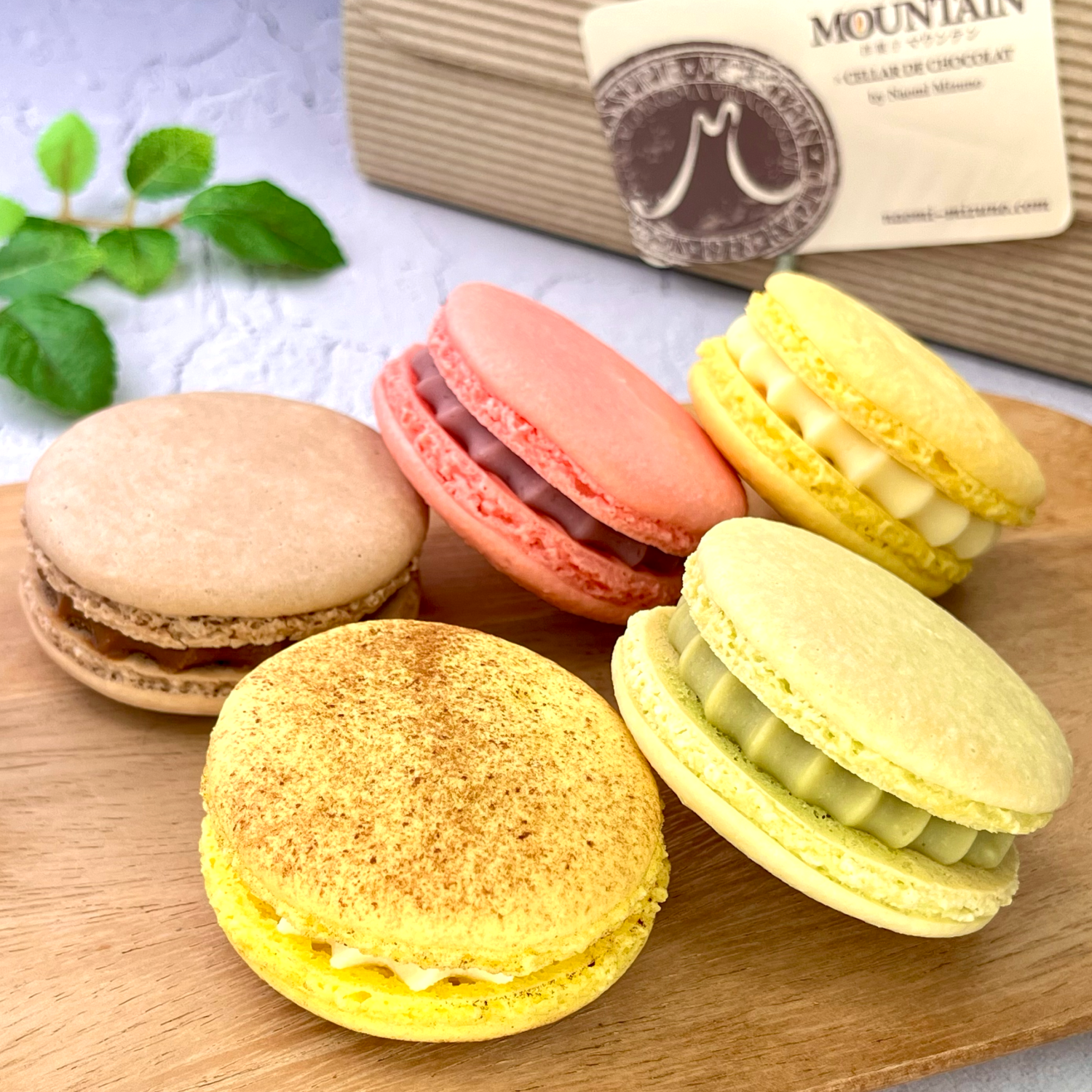 洋菓子マウンテン | ショコラナビ